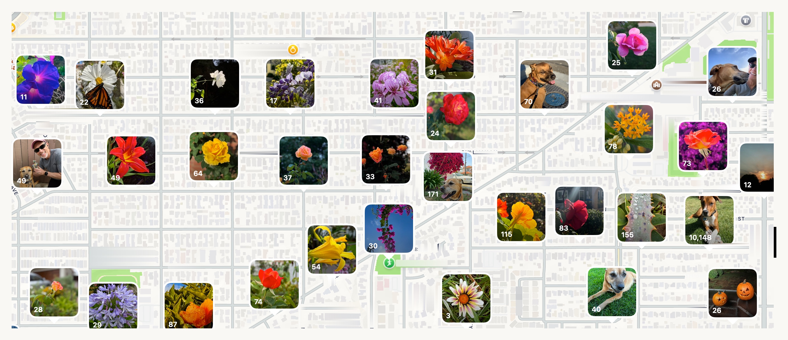 A map showing how Allison's photo locations clearly show her walking route