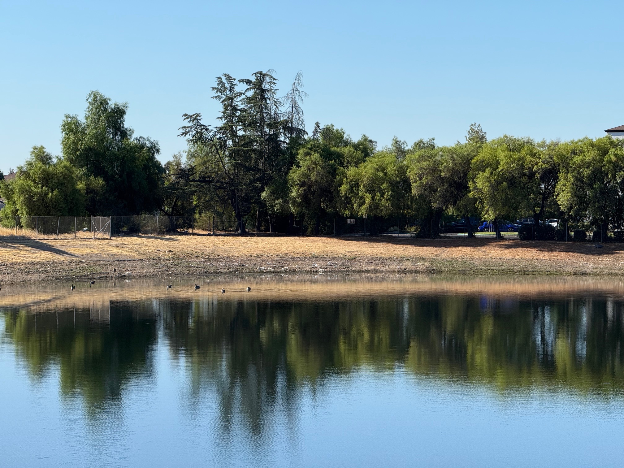 a photo, described in the caption below