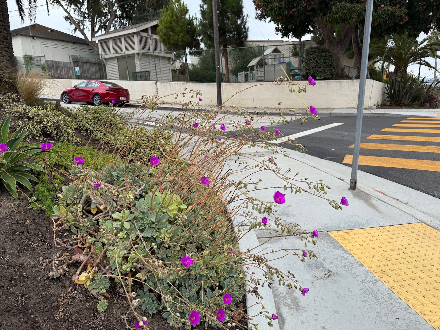 a photo, described in the caption below