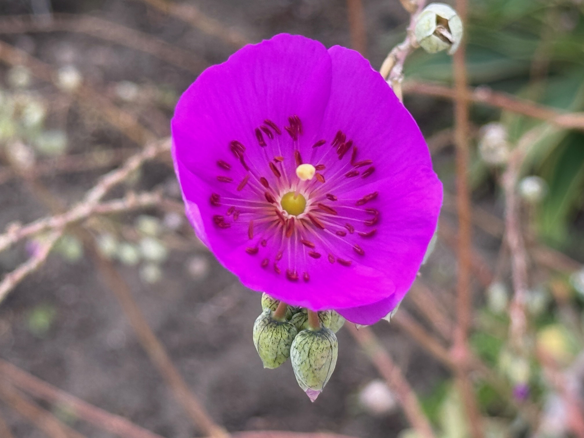 a photo, described in the caption below